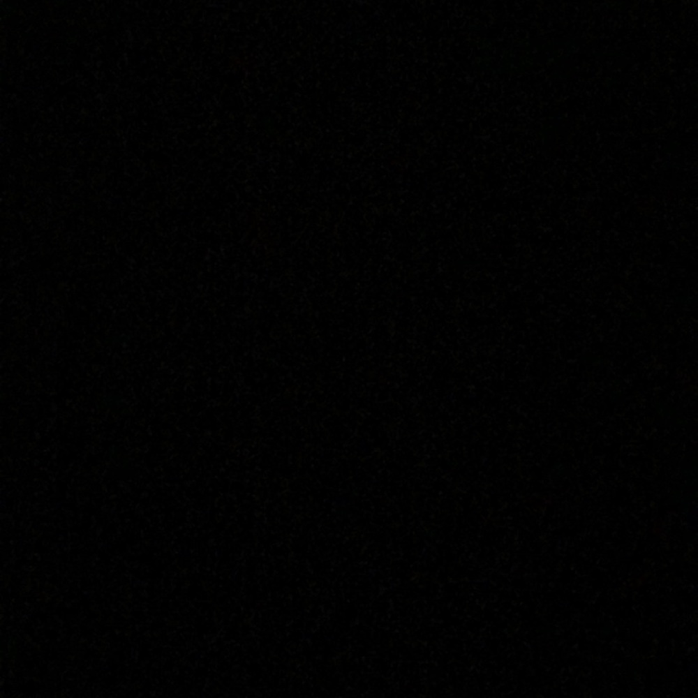 Meet your Posher, Bee